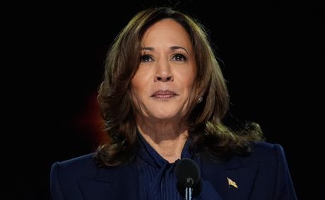 ‘Our Country Is Going Through Pain Right Now’: Kamala Harris Warns of Political Turmoil as She Campaigns for Abdul El-Sayed
