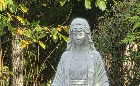 “Our Lady of the Rosary, pray for us.” Overture vol. 6, no. 6