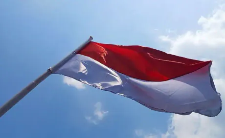 Indonesia to Train Representatives From Six African Countries in Trade and Investment Development