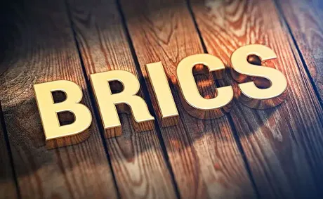 Expert: African Countries Want to Be Part of BRICS