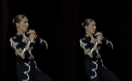 Céline Dion, 58, takes a scary fall during Paris show