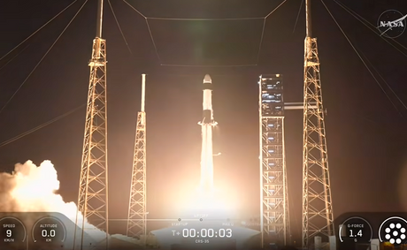 Mini organs launch with SpaceX. What are scientists after?