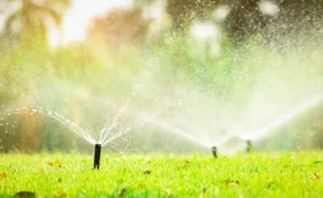 Smart Lawn Survival: How You Keep Your Sprinkler System Working Without Wasting Water