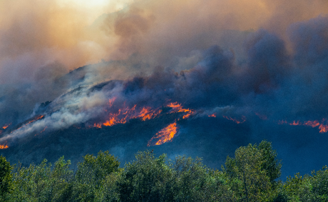 Santa Ana winds why 220,000 homes could go dark