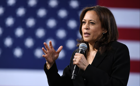 ‘We Don’t Need Recycled Candidates’: Voters Say They Want Someone New in 2028 Not Kamala Harris, According to POLITICO
