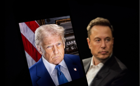 Trump and Musk, why the sudden warmth