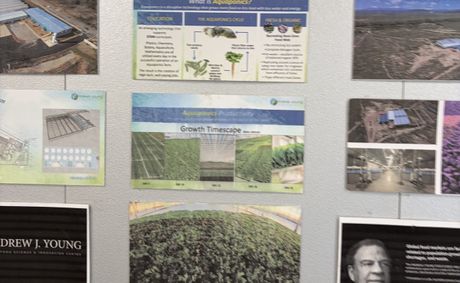 Andrew Young Went Looking at a Dam in Africa. The Journey Helped Lead to a Farm Outside Atlanta