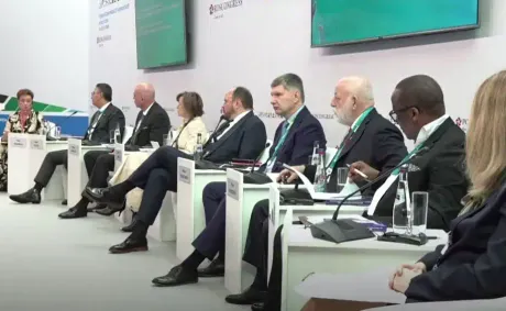 BRICS Proposes New Tools For Industrial Cooperation With Africa