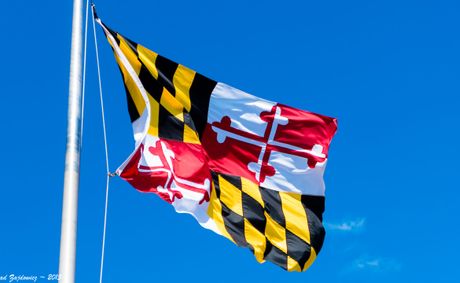 Maryland Election Day Is Tuesday: Where to Vote, Same-Day Registration and Mail-In Ballot Deadlines