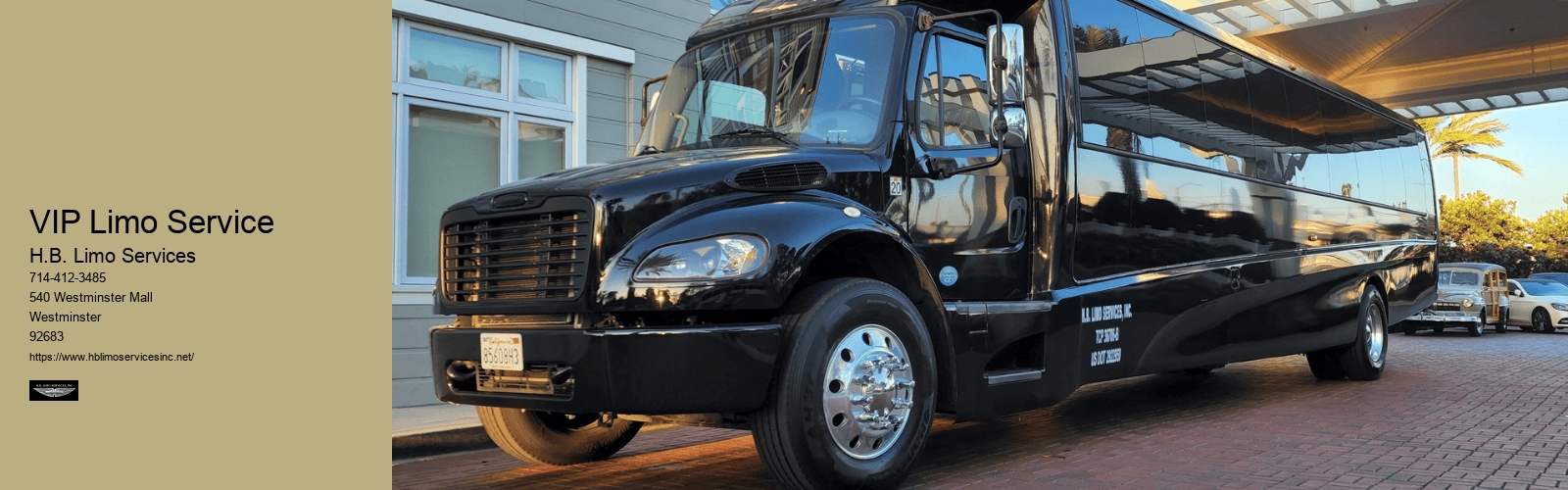 VIP Limo Service