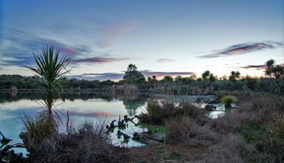 Rotokauri Greenway 560x321