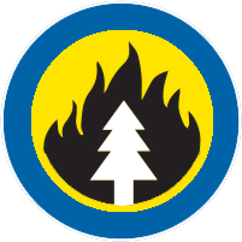 Fire