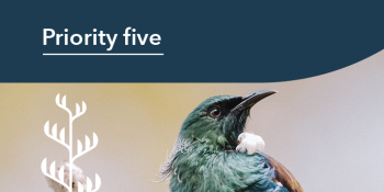 Priority five