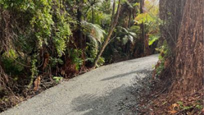 Mangaonua Gully Stream 363x204