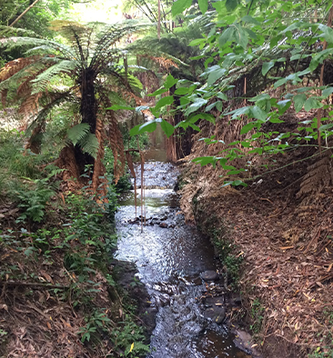 Mangakotukutuku gully
