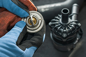 Technician hold a thermostat representing Climate Control Maintenance Parts Category
