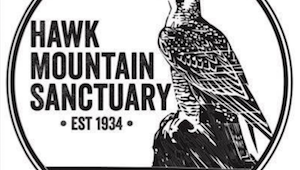 hawk mountain sanctuary