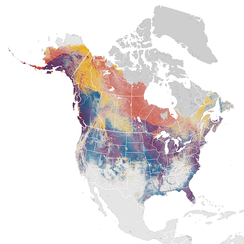 migration map