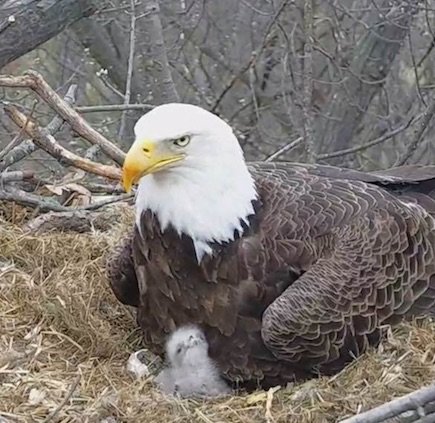 baby and mom