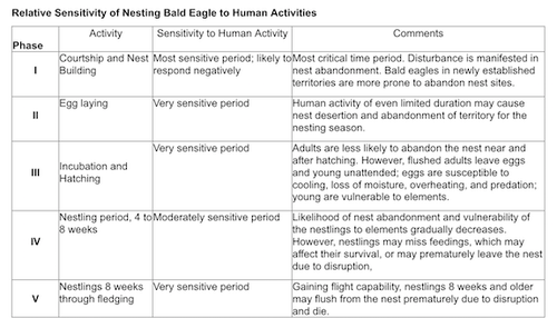 bald eagle nesting info