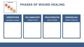 Managing Chronic Wounds.