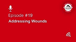 Podcast Episode 19: Addressing Wounds