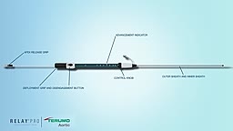 RelayPro Thoracic Aneurysm Stent Graft