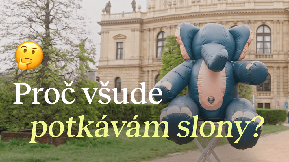 Video kampane Tvoj slon