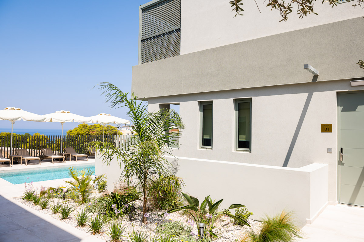 Plants beside the accommodation