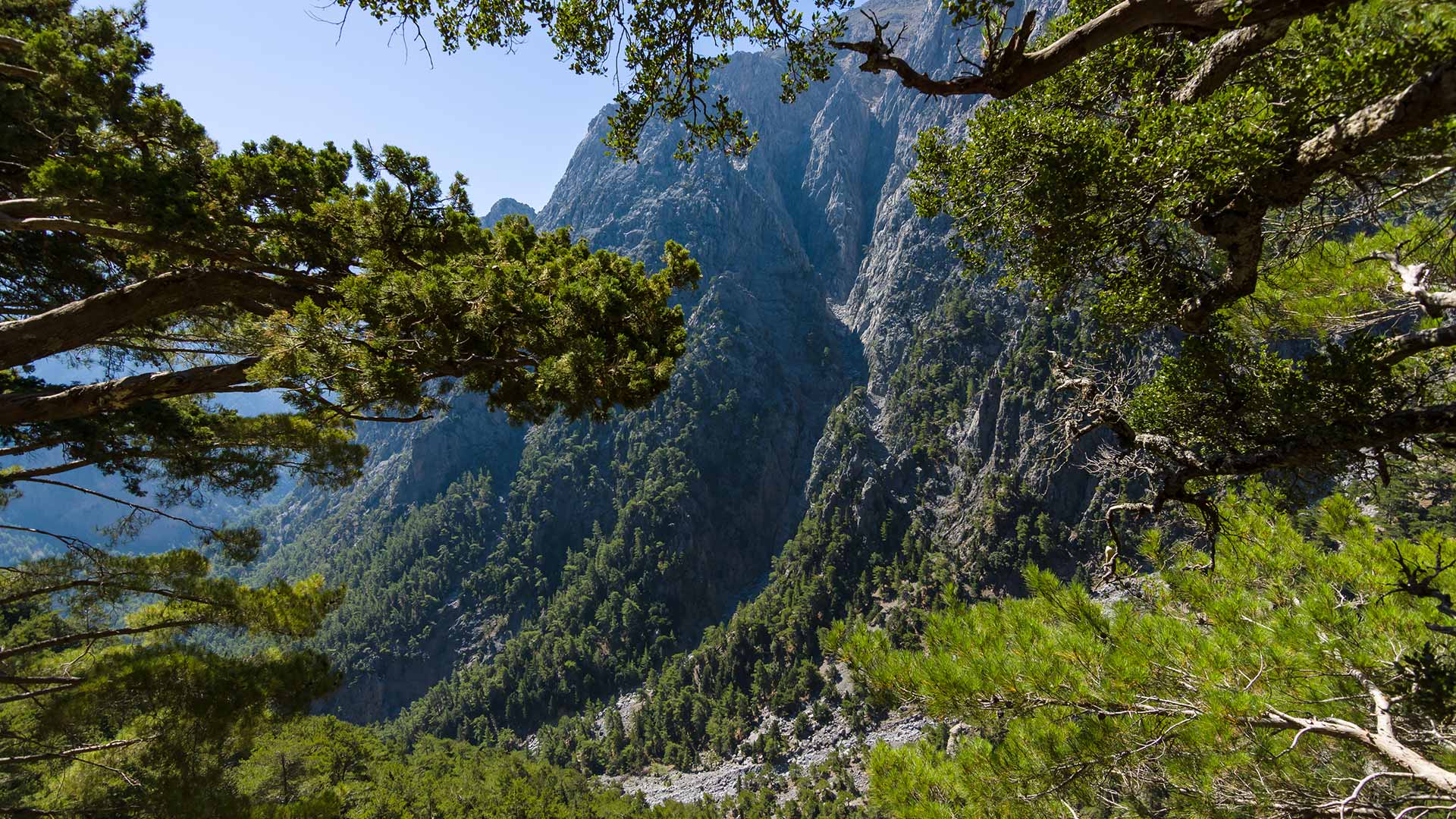 Φαράγγι Σαμαριάς