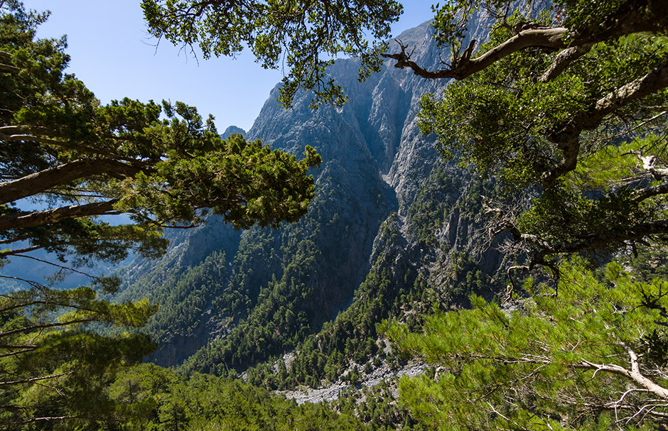 Φαράγγι Σαμαριάς