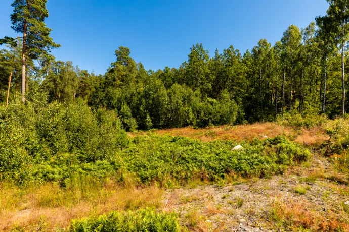 Konvaljevägen 12