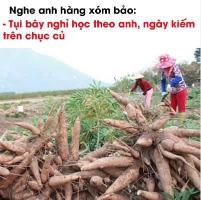 Ngày kiếm trên chục củ là có thật các bạn ah