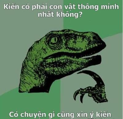 Xin ý kiến