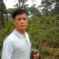 Avatar of user - Cuong Vu