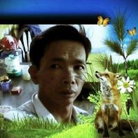 Avatar of user - Nguễn Viết Xuân