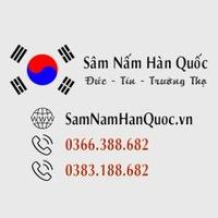 Avatar of user - SÂm NẤm HÀn QuỐc