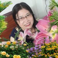 Avatar of user - Kim Đỗ