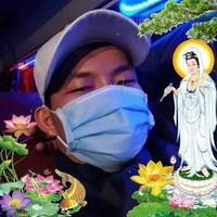 Avatar of user - Đứa Con Tội Lỗi