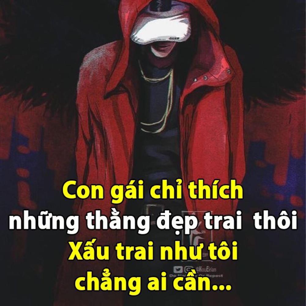 Avatar of user - Trần Quang Linh