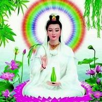 Avatar of user - Vy Hạ