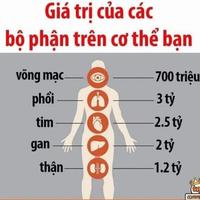 Avatar of user - Lê Tùng