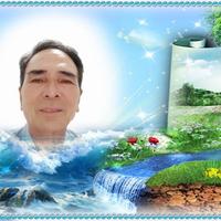 Avatar of user - Nguyễn An