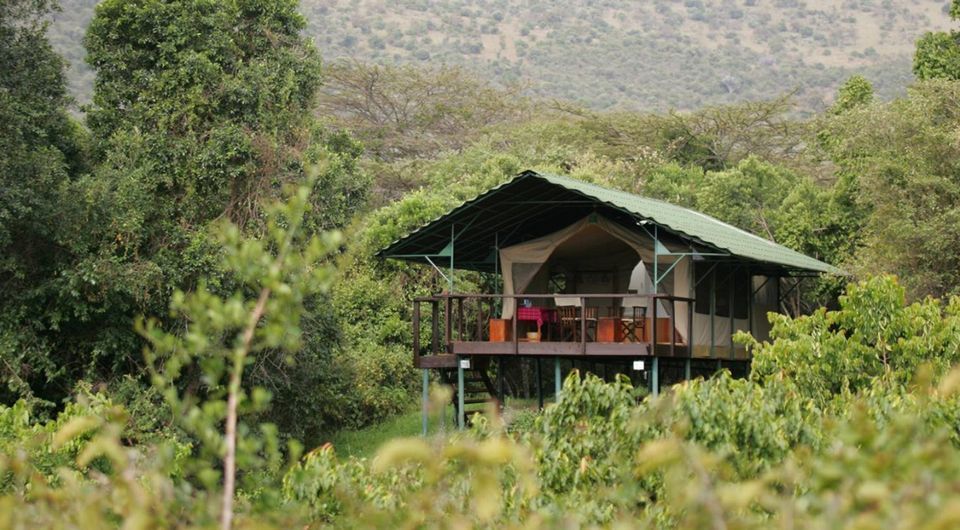 3 Days Mid-luxury Safari in the Iconic Masai Mara Game Park