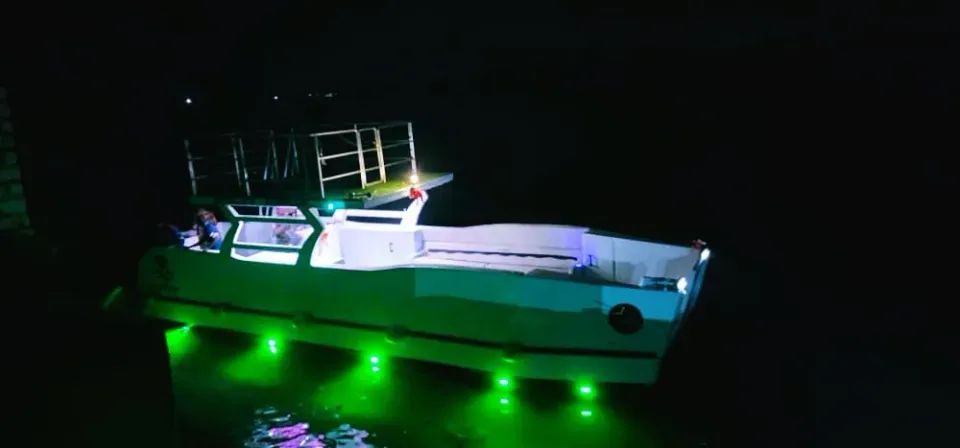 Boat Cruise - Night