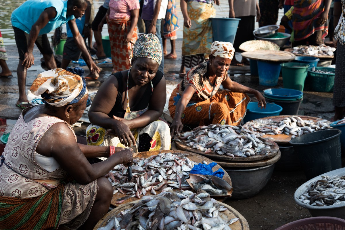 Cape Coast Fish Market Tour and Cooking Class