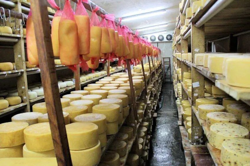 Cheese Tasting In Nairobi