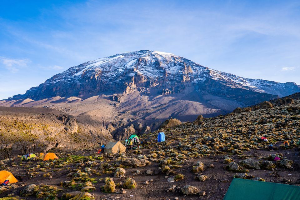 Welcome to Kilimanjaro