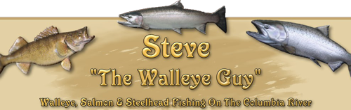 Steve's Guide Service