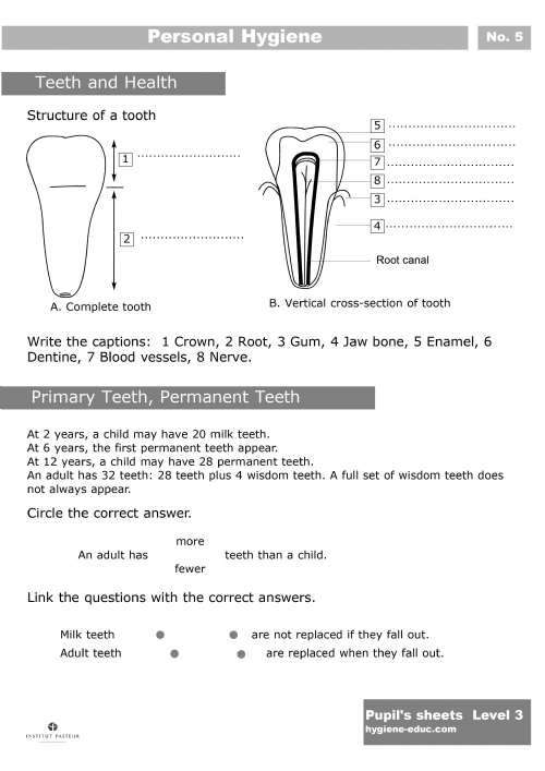 babycity download the personal hygiene worksheets for kids level 3 8 pages